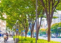 【年末年始休業のお知らせ】(2022/12/29～2023/01/04)